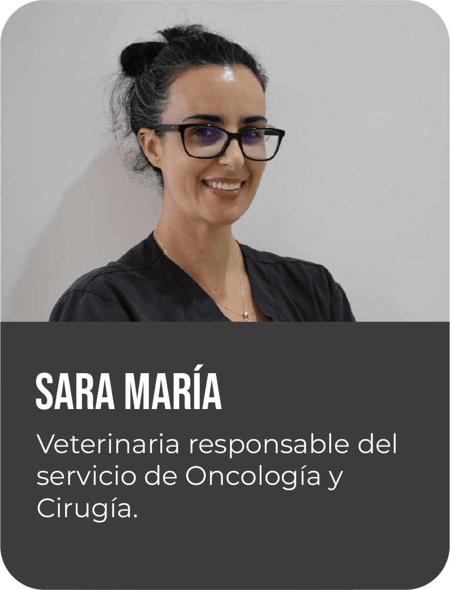 Sara María Ramos Vega