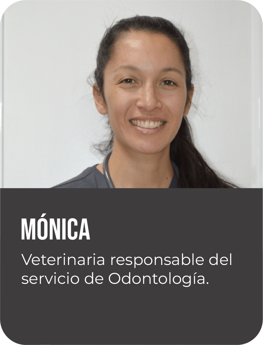 Mónica Quintana
