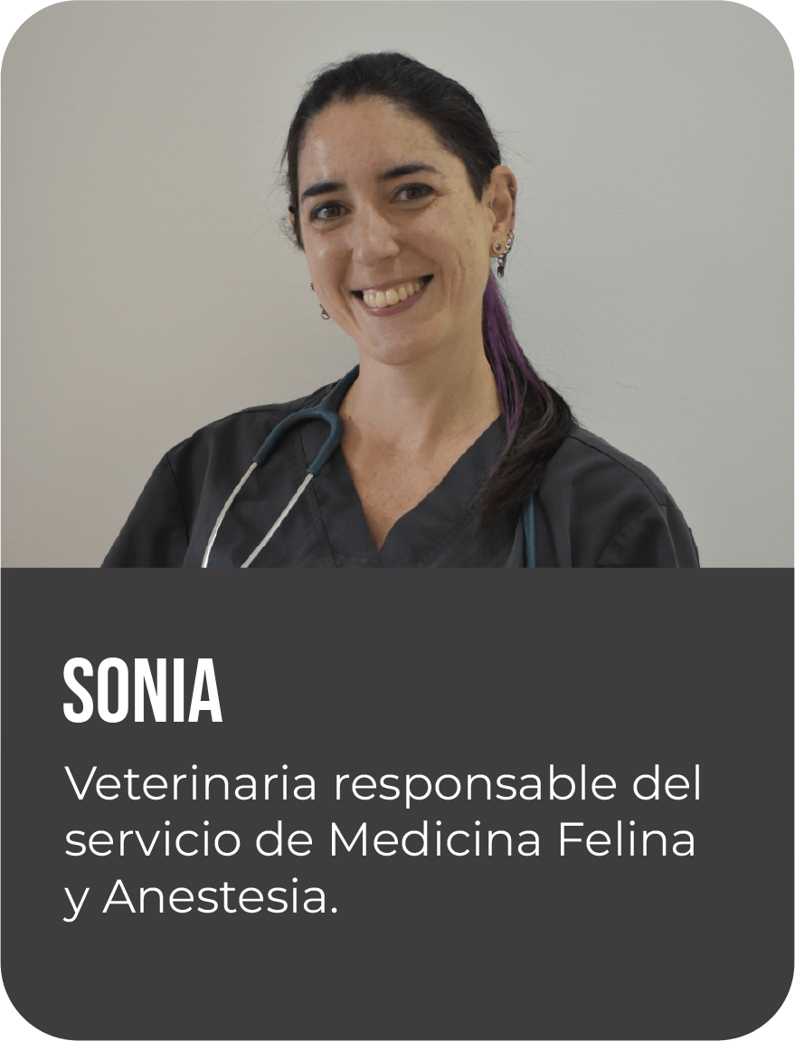 Sonia Urquía